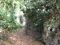 Cuba santo Stefano